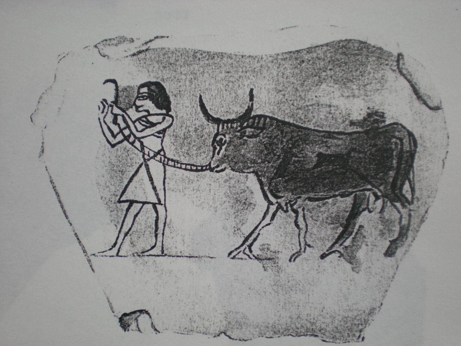 Ostracon E 14302
