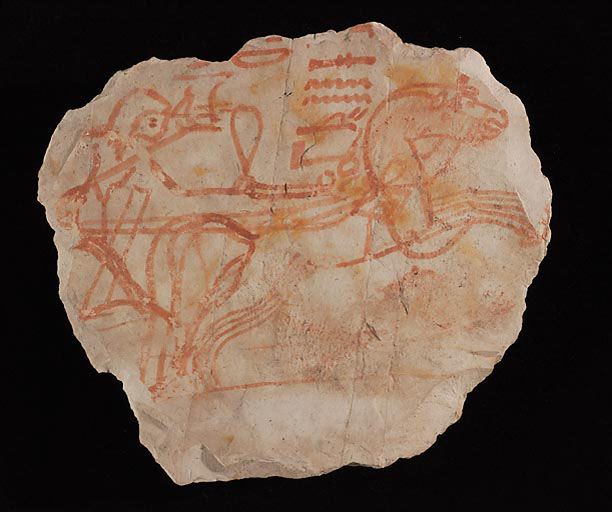 Ostraca E 27660