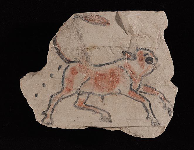 Ostracon E 27669