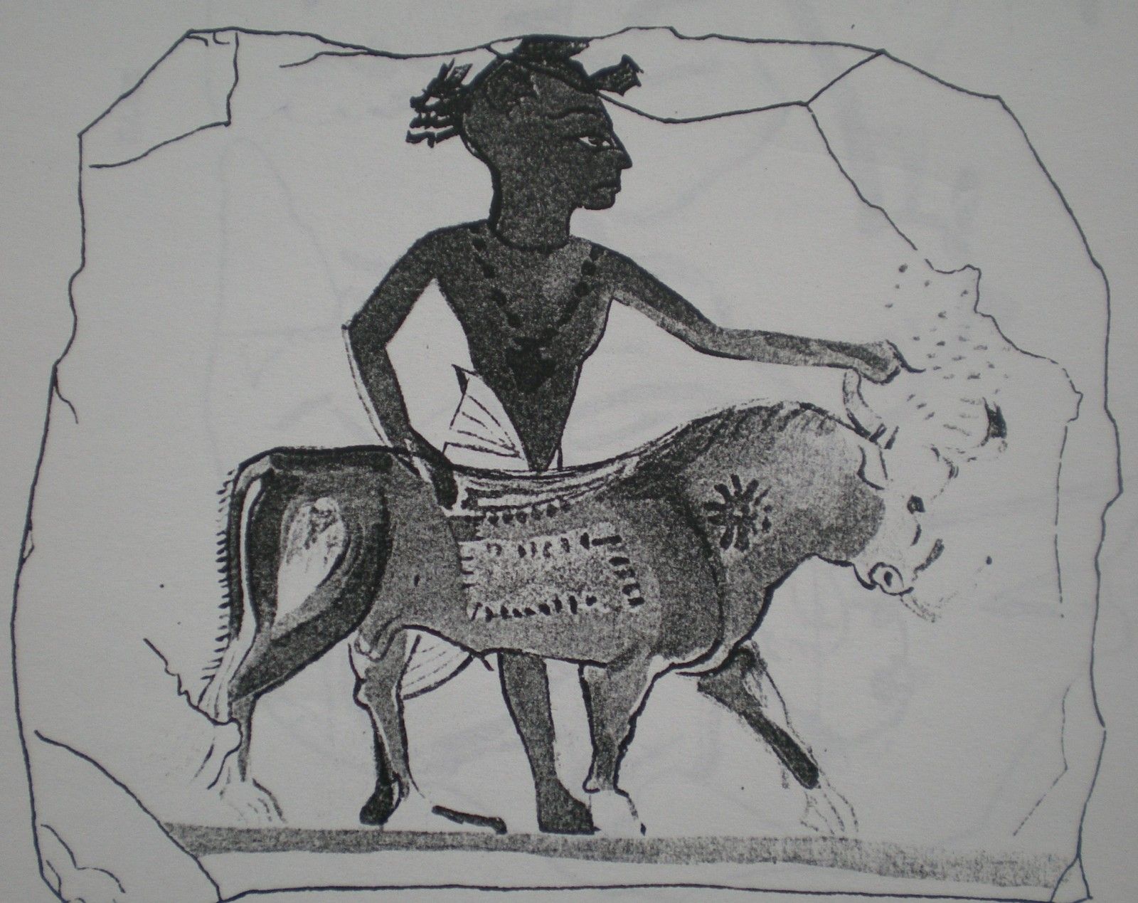 Ostracon N 1562