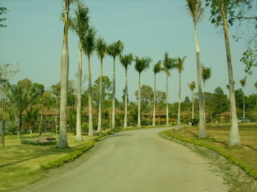SS851652.JPG