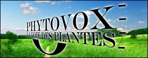 phytovox