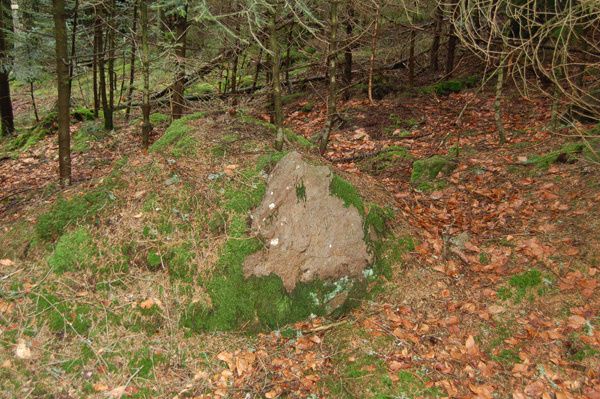 Bloc de poudingue (grès)