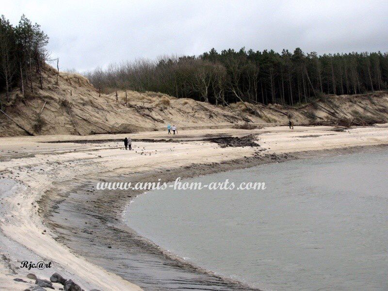 BAIE AUTHIE SORTIE 26.02.11 024
