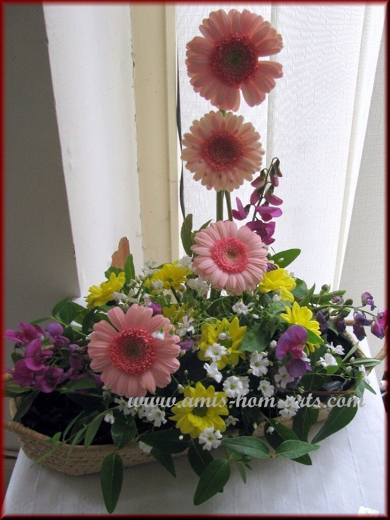 REPORTS-17.06.11-005.jpg