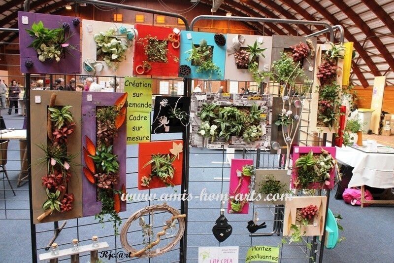 FETE-DES-PLANTES-23.10.11-012.jpg