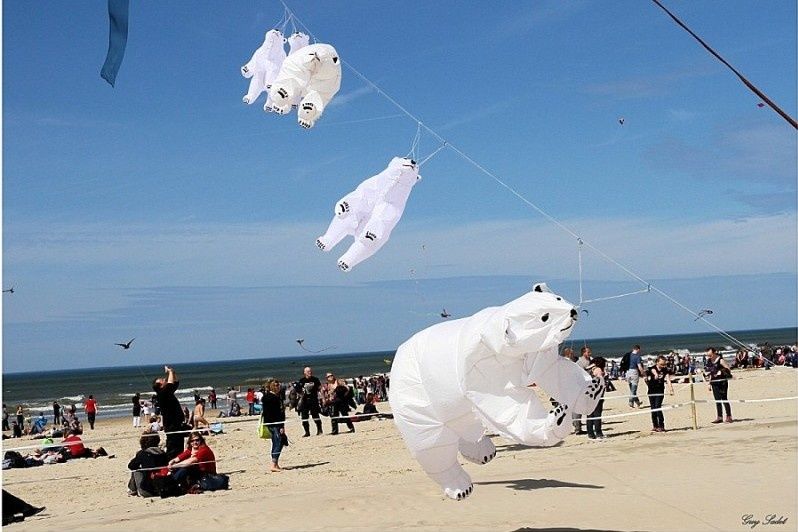 rencontres internationales cerfs volants