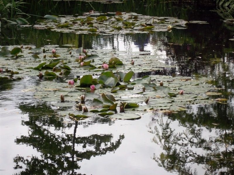 giverny-009.jpg