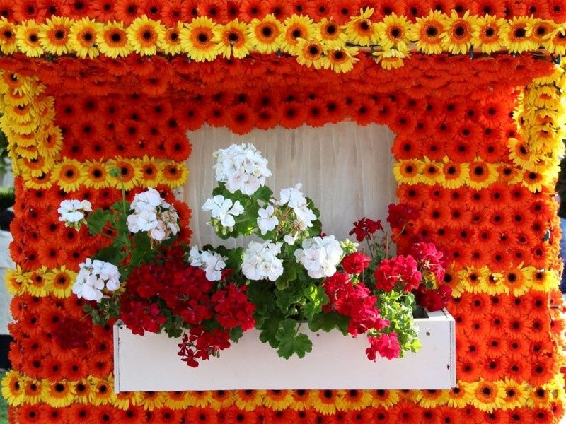FETE-DES-FLEURS-9801.JPG