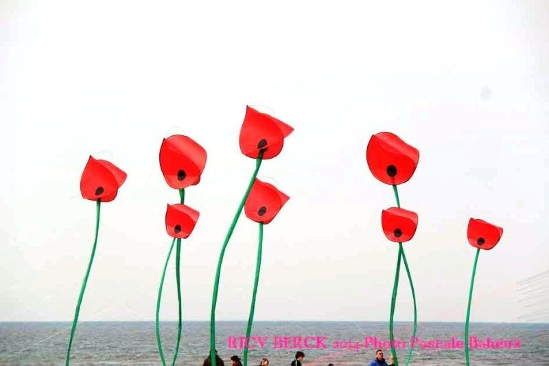 COQUELICOTS-6789.JPG
