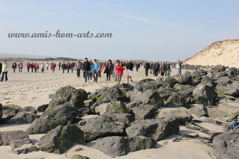 MARCHE-BAIE-AUTHIE-08.03.14-046.jpg
