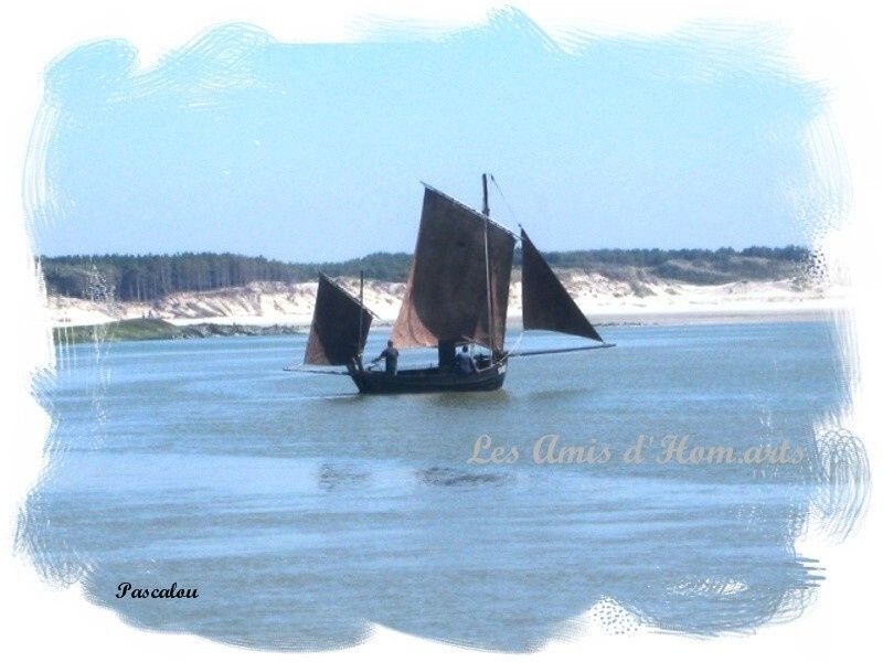Copie de 15 aout 2009 berck 107