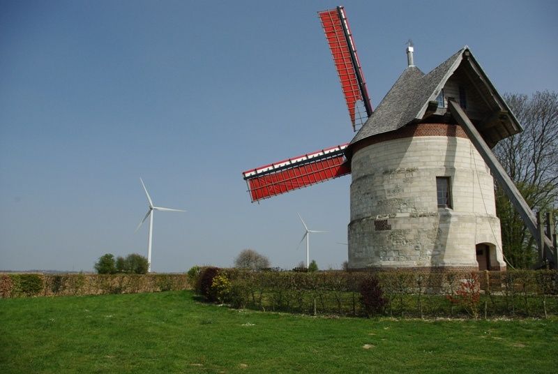 IMGP1864.JPG