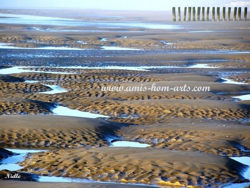 PLAGE BERCK17.01.10 101