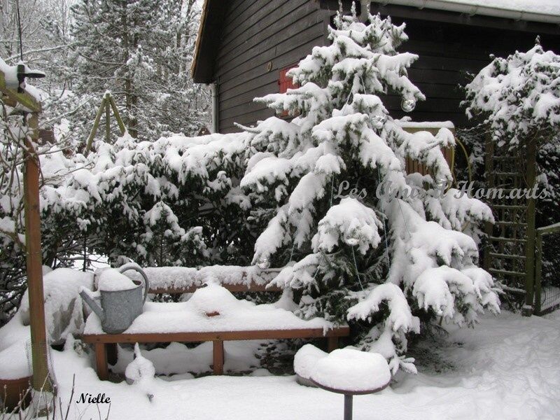 09.NEIGE FRENAIE NIELLE 19.12.09 002
