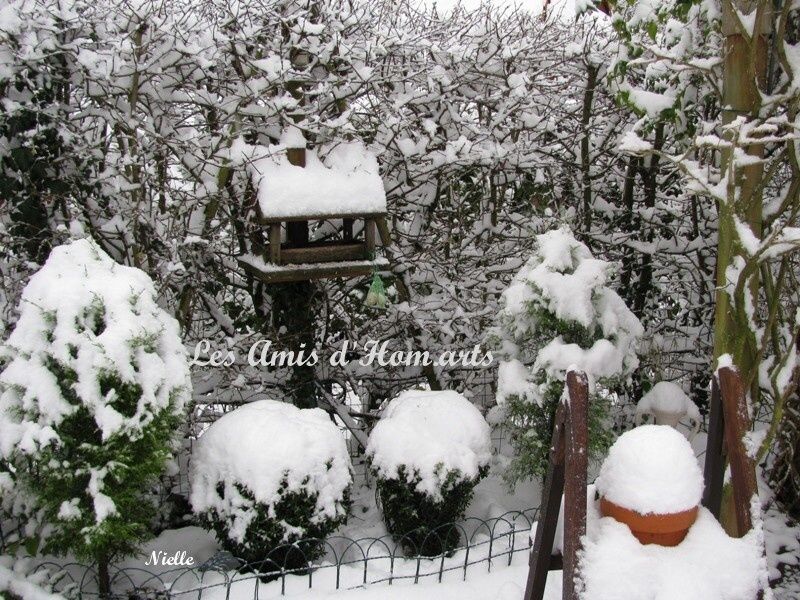 13.NEIGE FRENAIE NIELLE 19.12.09 003