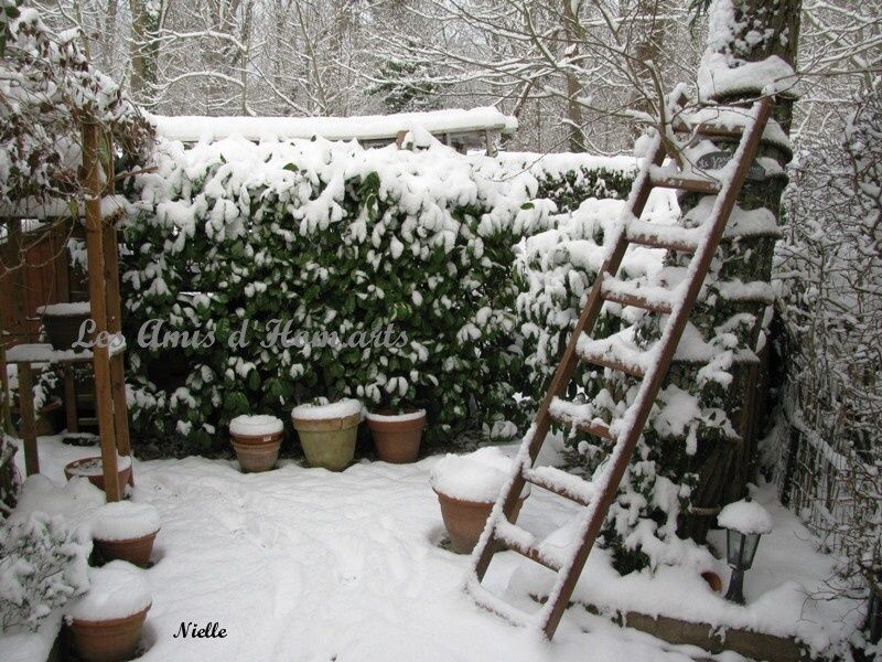 15.NEIGE FRENAIE NIELLE 19.12.09 082