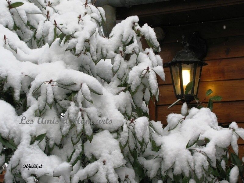 NEIGE FRENAIE NIELLE 19.12.09 090