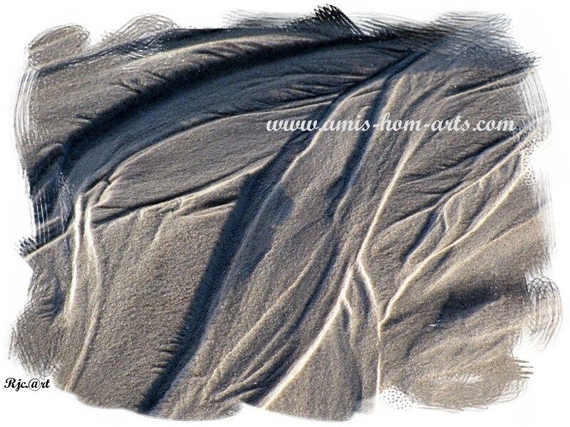 PLAGE BERCK17.01.10 077