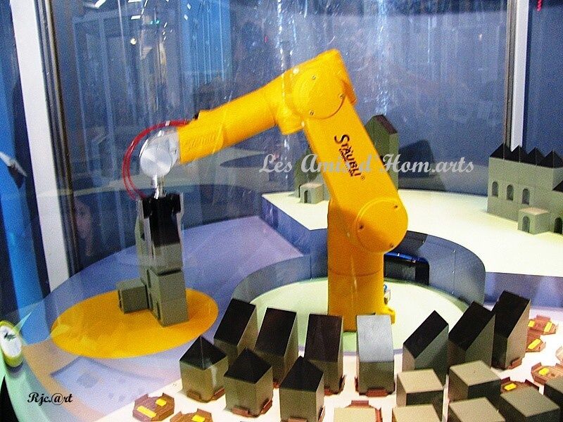 PARIS 07.02.10 022