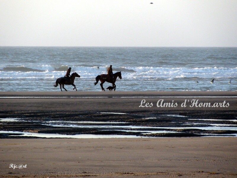 PLAGE BERCK JC 17.01.10 110