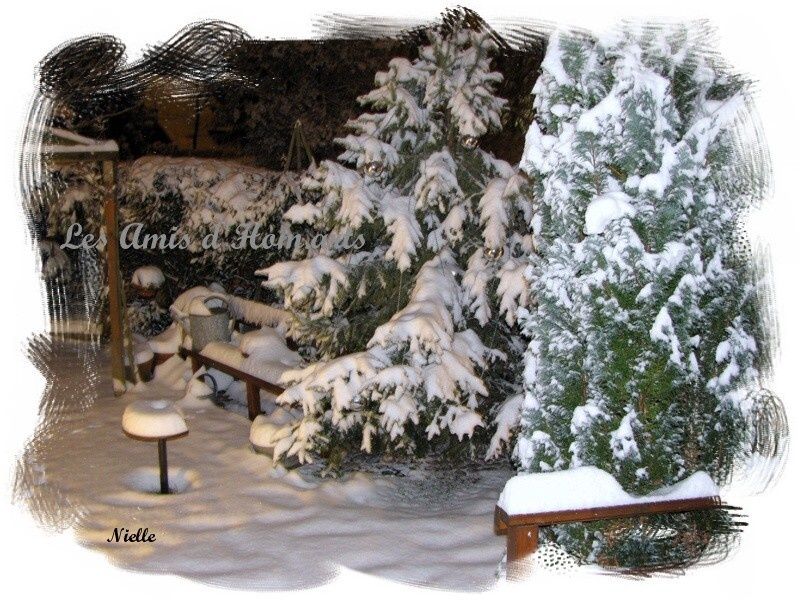 NEIGE-JARDIN-NIELLE-18.12.09-010.jpg