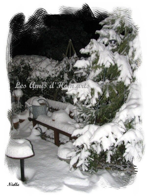 NEIGE-JARDIN-NIELLE-18.12.09-021.jpg