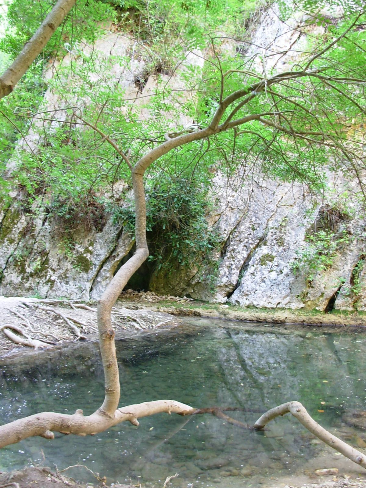 la magie du ruisseau rencontre avec le peuple de l eau