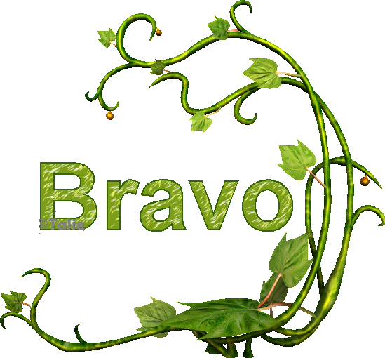 Animation1_bravo.gif