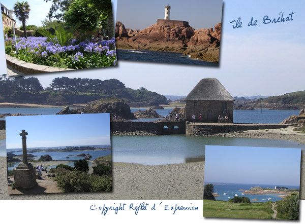 photos de l'ile de Bréhat, ile aux fleurs, côtes d'armor photos de l'ile de Bréhat, ile aux fleurs, côtes d'armor