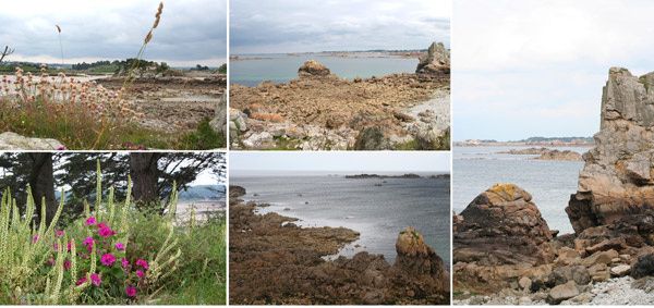 Ile Illiec, port-blanc et Bugueles Ile Illiec, port-blanc et Bugueles