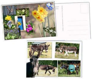 Composition graphique et impression de cartes postales Composition graphique et impression de cartes postales