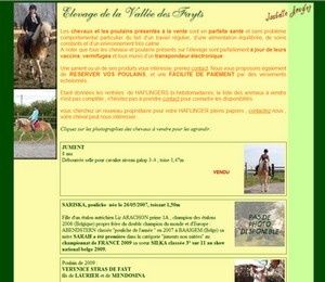 Elevage des Fayts, chevaux Haflinger