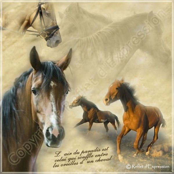 composition des scènes photo montage