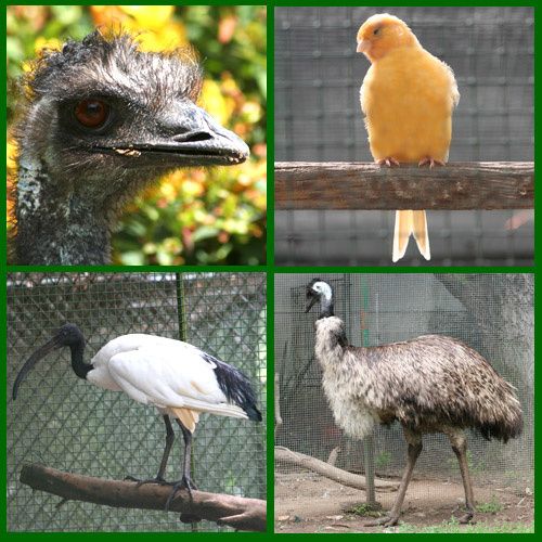 Parc Ornithologique de Bretagne Bruz Rennes Parc Ornithologique de Bretagne Bruz Rennes