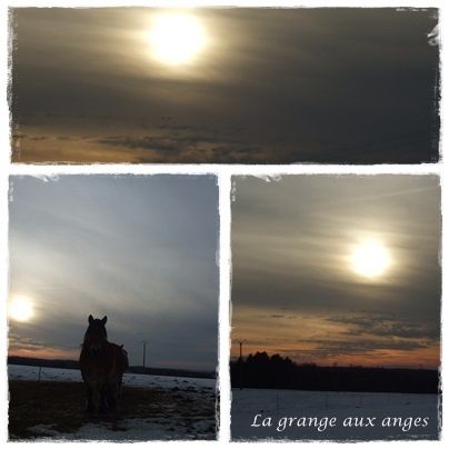 montage1-copie-2.jpg