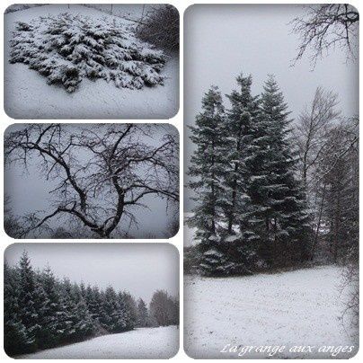 neige-janvier.jpg