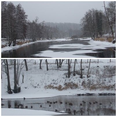 neige2.jpg