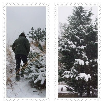 neige4.jpg