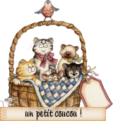 coucoupanierchatons.gif