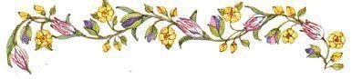 fleurs036