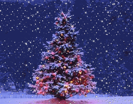 noelsapin