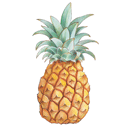 ananas