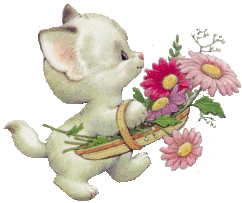 chaton