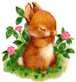 lapin