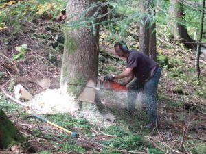 Sylvain en action