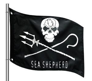 sea-shepherd.jpg