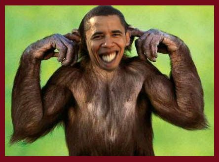 Obama-en-singe.jpg
