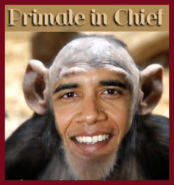 obama-monkey-IMAGE.jpg