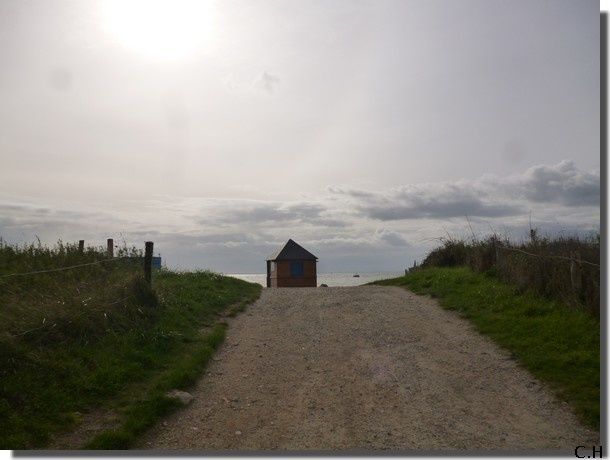 ARZON 2012